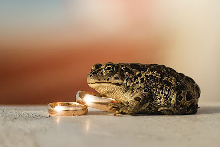 Svadobný fotograf Oksana Ladygina (oxanaladygina). Fotografia publikovaná 7. septembra 2016