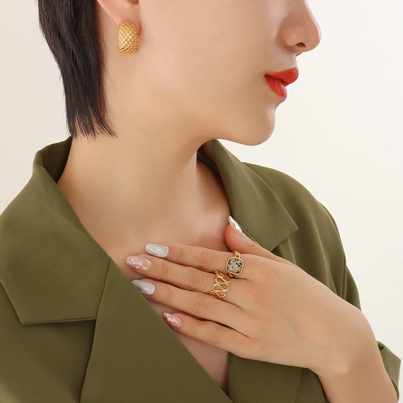 Title 5, Titanium Steel Gold Plated Trendy Punk Earrings...