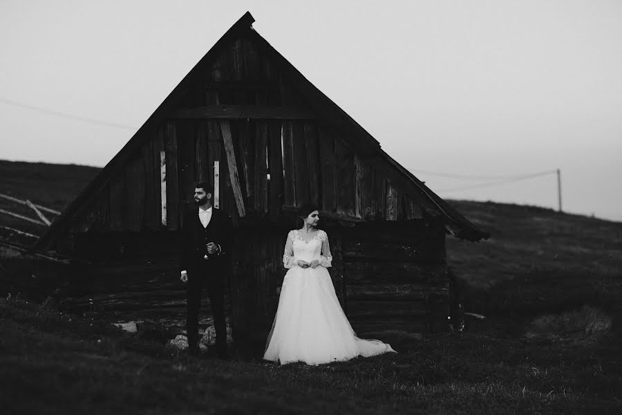 Fotografo di matrimoni Nikolay Chebotar (cebotari). Foto del 9 ottobre 2018