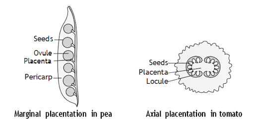 Solution Image