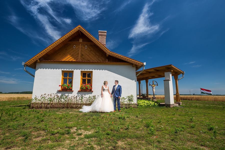 Huwelijksfotograaf Gergely Vas (gregoryiron). Foto van 7 juli 2017