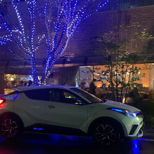 C-HR ZYX10