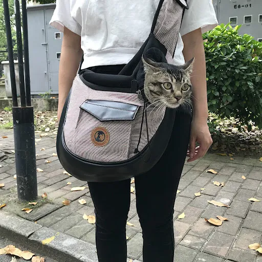 Portable Dog Backpack Travel Shoulder Sling Bag Winter Warm For Small Dog Bag Walking Outdoor Pocket Waterproof Pet Carr