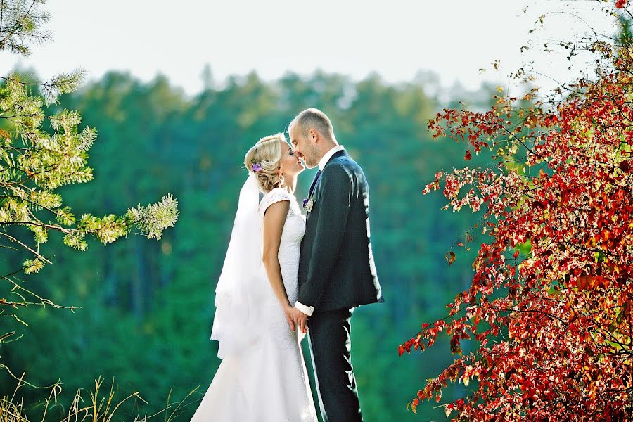 Photographe de mariage Maksim Vetrov (vetrov). Photo du 20 juin 2016