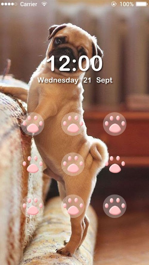 Android application Applock Theme Bulldog screenshort