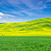 Passeggiata Primaverile di 