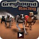 Greyhound Racing