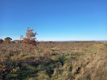 terrain à Gaillac (81)