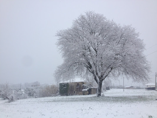 paesaggi innevati  di brigitamacri01