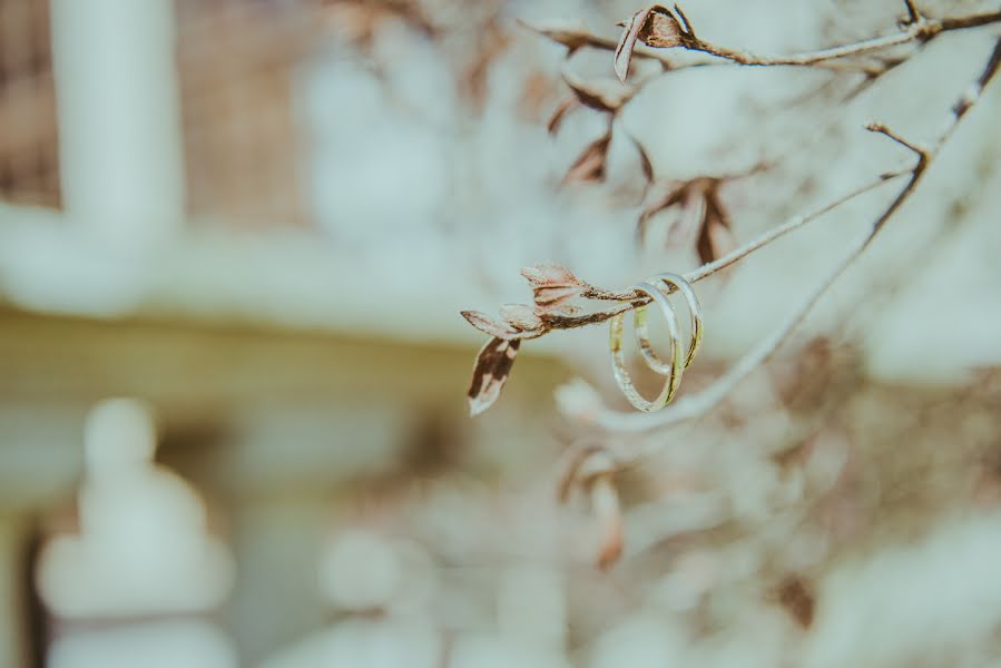 Wedding photographer Patricia Soto (lafabrica). Photo of 21 March 2019