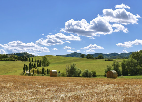 Umbria cuore verde 💚 di francesco_scassellati