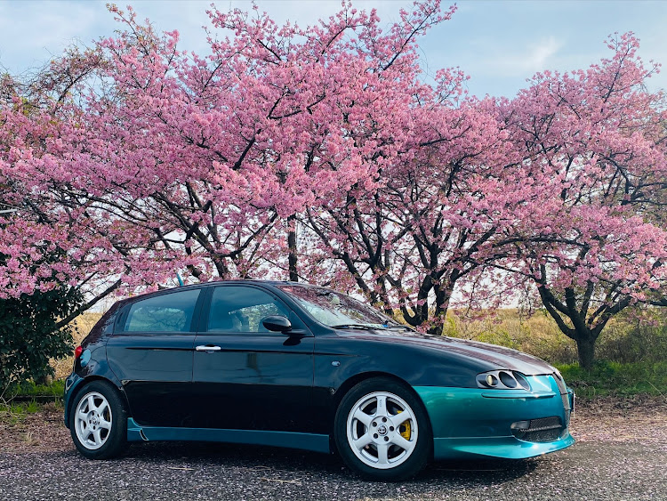 147の河津桜・河津桜とコラボに関するカスタム事例の投稿画像1枚目