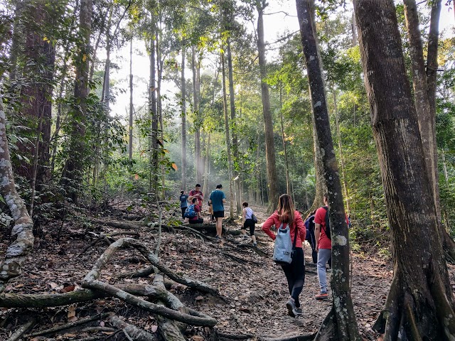 Setia Alam Community Forest SACF to Mirror Lake