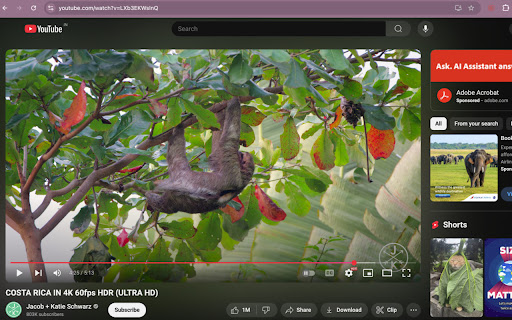 YouTube Hide Control On Pause