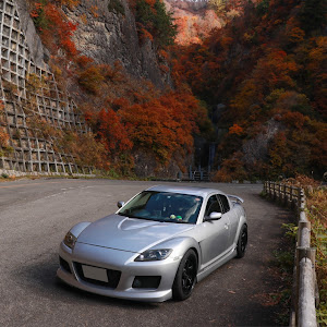 RX-8 SE3P