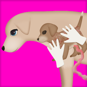 Dog Pregnancy Surgery 2 logo