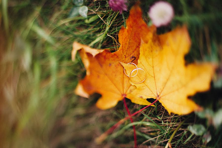 Pulmafotograaf Tanya Khmyrova (pixclaw). Foto tehtud 28 september 2015