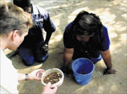 HUMILIATION: A photo from a DVD made by students showing Free State University cleaners eating meat that had allegedly been urinated on as part of a mock initiation. It is believed the DVD was made to protest against the racial integration of the hostels.