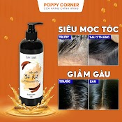 Dầu Gội Thảo Dược Bồ Kết Giảm Gàu Thảo Mộc Cô Đặc Chống Rụng Thiên Nhiên Mọc Tóc Nhanh Dài Không Hóa Chất Poppy Corner