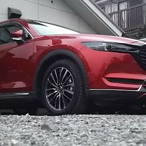 CX-8