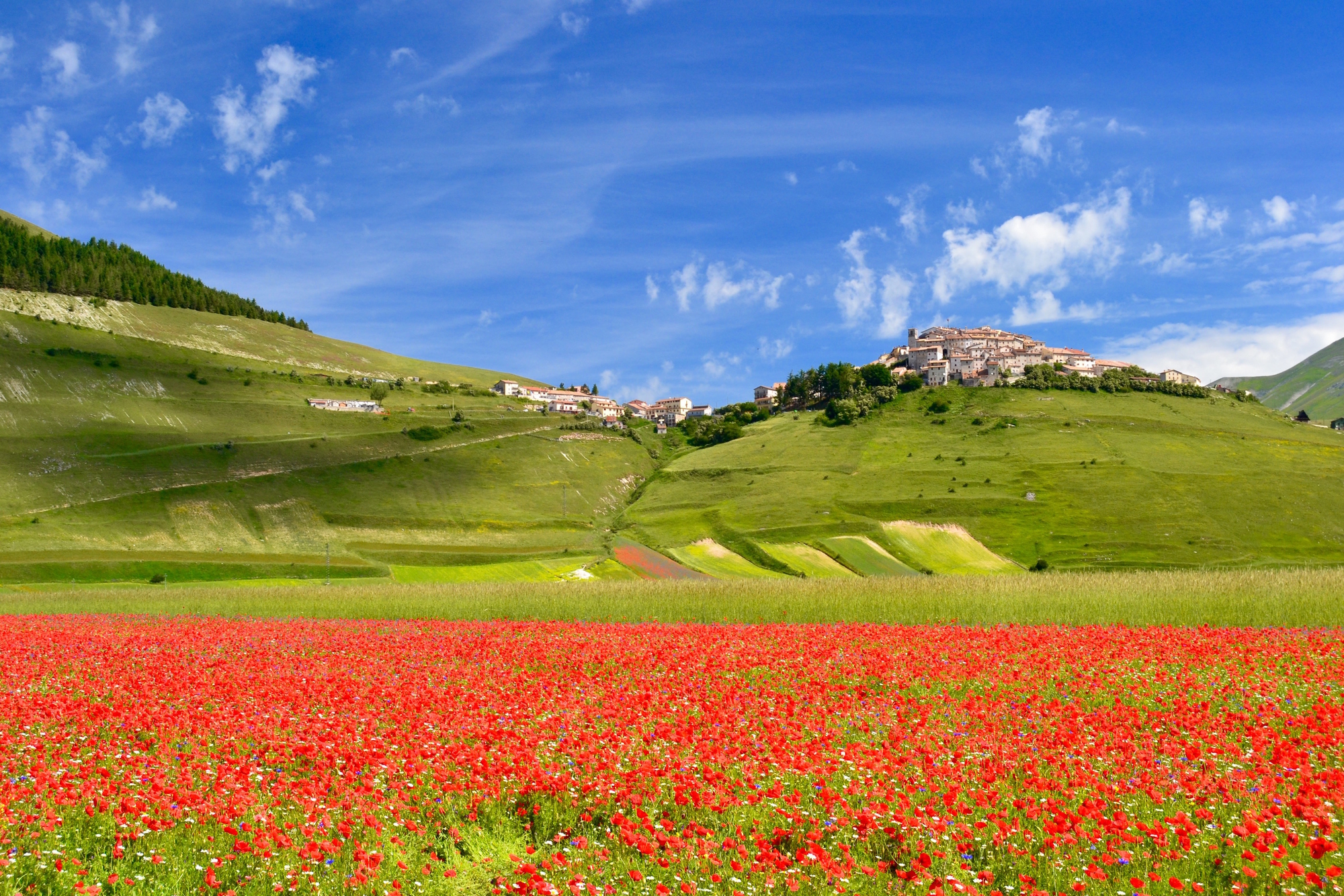 Rosso Castelluccio di giuseppedangelo