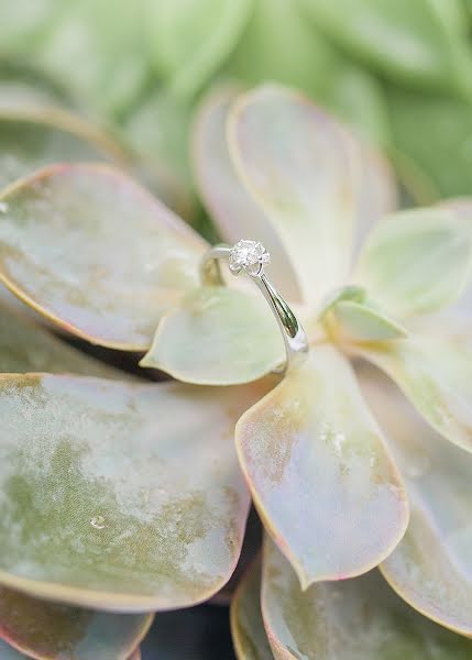 Fotógrafo de bodas Svetlana Shenkel (shenkel). Foto del 27 de julio 2016