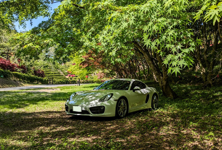 ケイマンのPORSCHE・981ケイマンS・GW・ゴールデンウィーク・新緑と愛車に関するカスタム事例の投稿画像1枚目