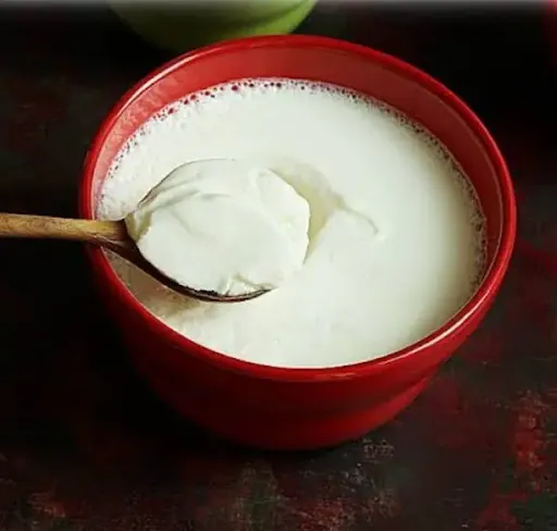 Plain Curd [small]