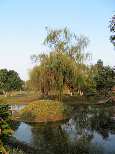 A Day in Wuzhen China 2016