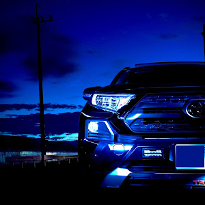 RAV4 MXAA54