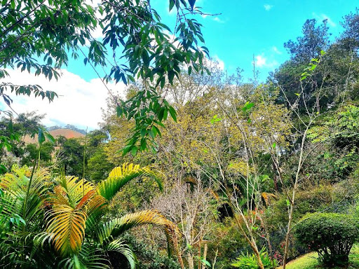 Casa à venda em • Itaipava, Petrópolis - RJ - Foto 3