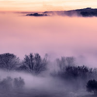 La nebbia agli irti colli..... di 