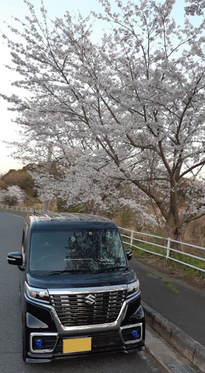 スペーシアカスタムの桜と愛車・目指せPickUpCars・医療従事者にエールを❗️・忙しいことはいーことだ・福岡県某所にてに関するカスタム事例の投稿画像1枚目