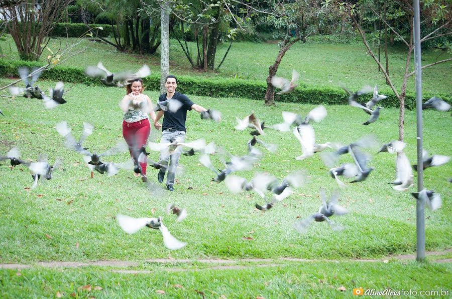 Fotógrafo de casamento Aline Alves (alinalve). Foto de 5 de junho 2019