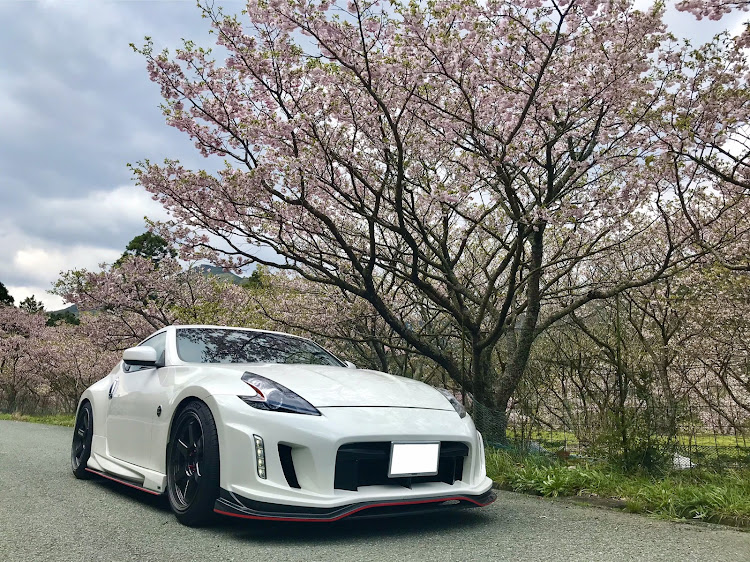 フェアレディZのドライブ・桜・桜と愛車に関するカスタム事例の投稿画像1枚目