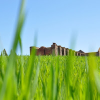 Rovine dell'Antica Abbazia di 