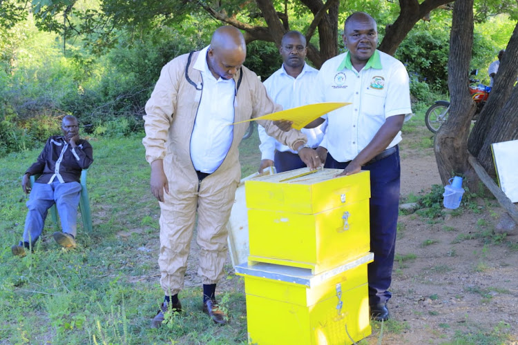 Kitui agriculture and livestock executive Stephen Kimwele inspects some of the Langstroth beehives presented to beekeepers.