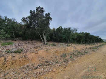 terrain à Rasiguères (66)