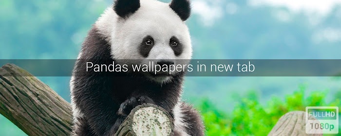 Pandas Wallpapers New Tab marquee promo image