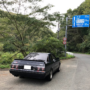 スカイライン HR31