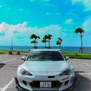 86 ZN6