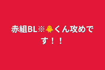 赤組BL※🐥くん攻めです！！