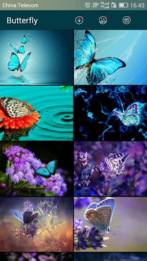 免費下載個人化APP|Butterfly wallpapers HD app開箱文|APP開箱王