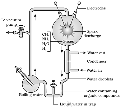 Solution Image