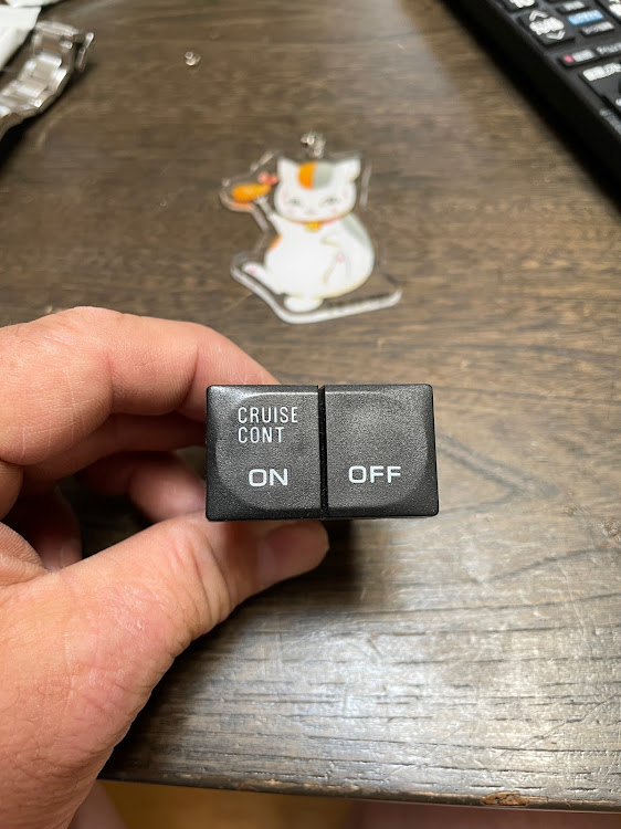 レパードのバッ直・DIYに関するカスタム事例の投稿画像4枚目