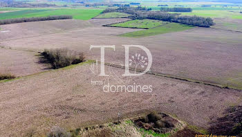 terrain à Graçay (18)