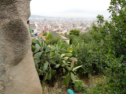 Barcelona Spain 2010