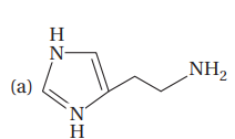 Amino Acids