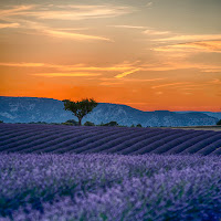 Estate provenzale...colori e fragranze... di 