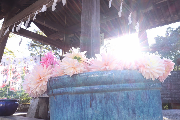 ハスラーの蓮友會・ハスクロ★レーシング・小鹿神社・花手水・ダリアに関するカスタム事例の投稿画像7枚目